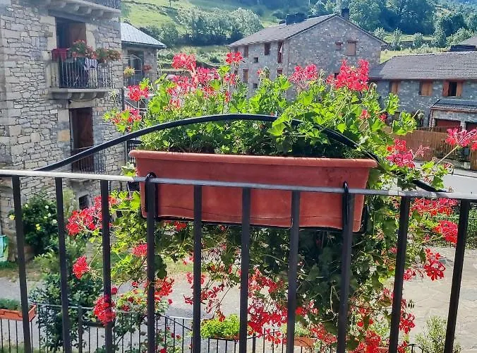 Apart. Casa Juaneta Pirineo-ordesa アパート *